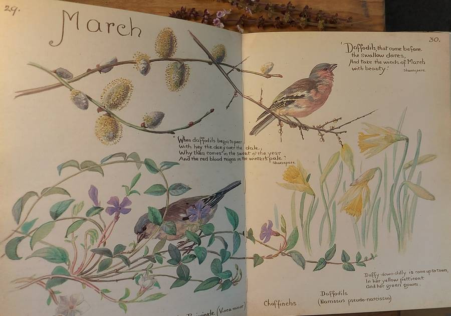 The Country Diary of an Edwardian Lady, Edith Holder