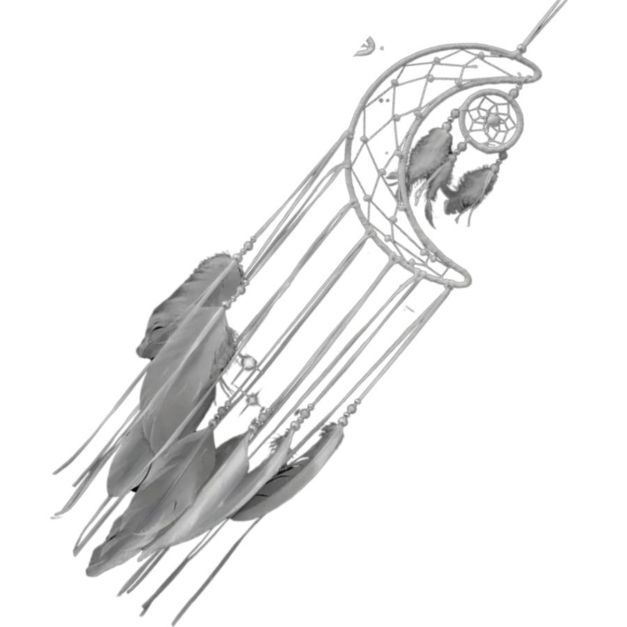  White Moon Dreamcatcher  Guardian of Peaceful Dreams 