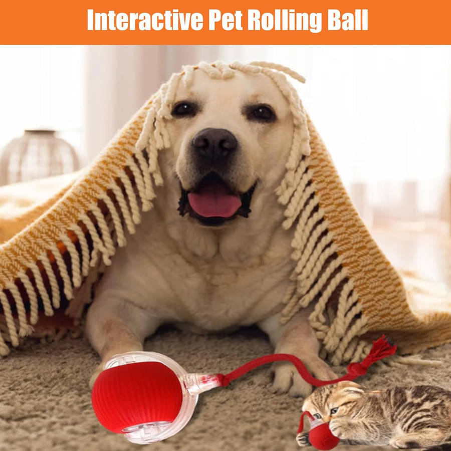 Rechargeable Interactive Cat Ball Toy, Dog Ball Toy, Smart Rolling Pet Ball