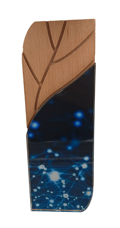 Carved wooden trophy