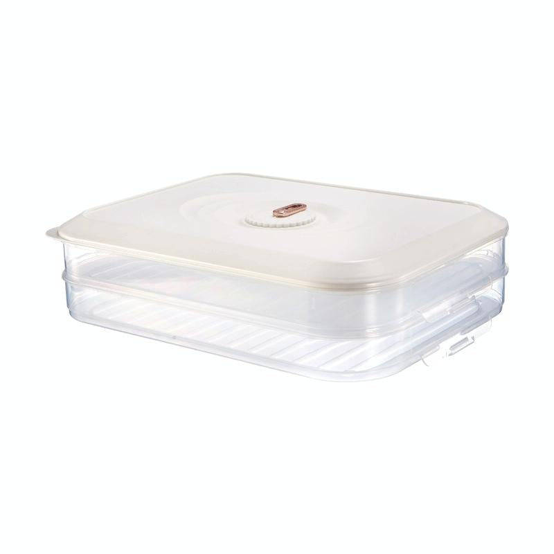 Household Refrigerator Freezer Large Capacity Dumpling Box, Capacity: Two Layers (White)