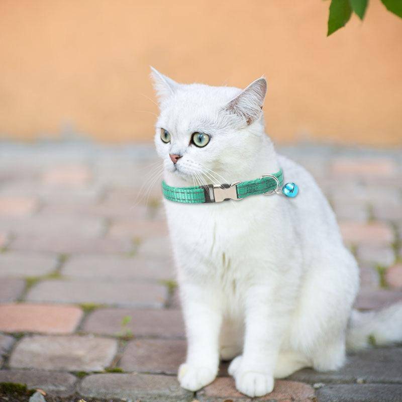 2 PCS Night Reflective Nylon Cat Collar With Bell, Size: XS 1.0x19-30cm(No Carving Grass Green)