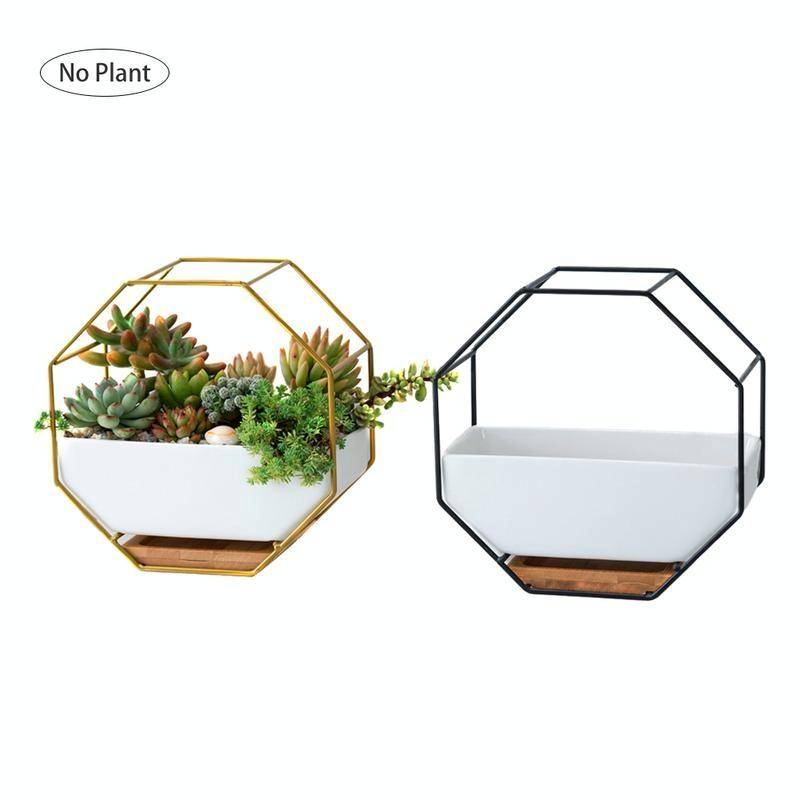 Simple Octagonal Geometric Wall Hanging Table Succulent Platter Bamboo Support Iron Frame Flower ...