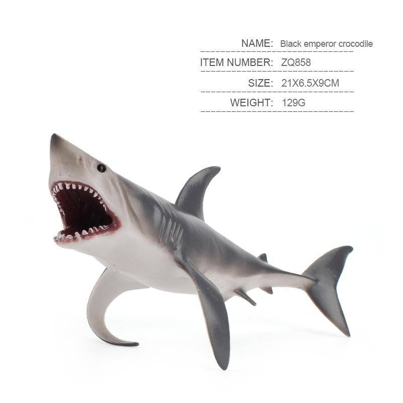 Children Science Education Cognition Simulation Ocean Wild Ancient Animal Model Megalodon
