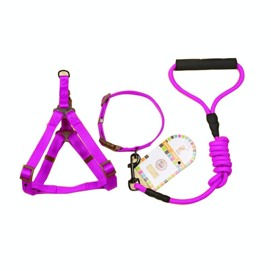 Pet Dog Collar + Harness + Leash Three Sets, M, Harness Chest Size: 43-67cm, Collar Neck Size: 33...