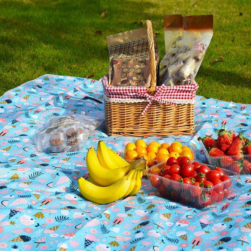 Spring Outing Portable Moisture-proof Picnic Mat Outdoor Tent Campground Mat, Size: 200x200cm(Blue)