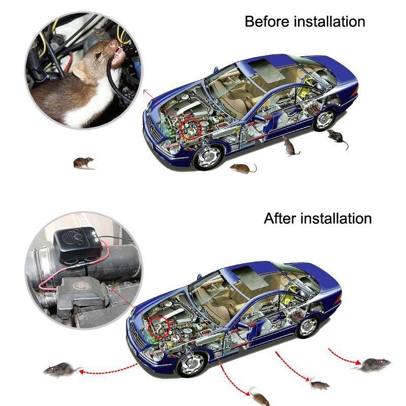 532 Vehicle Ultrasonic Mouse Repeller(Black)