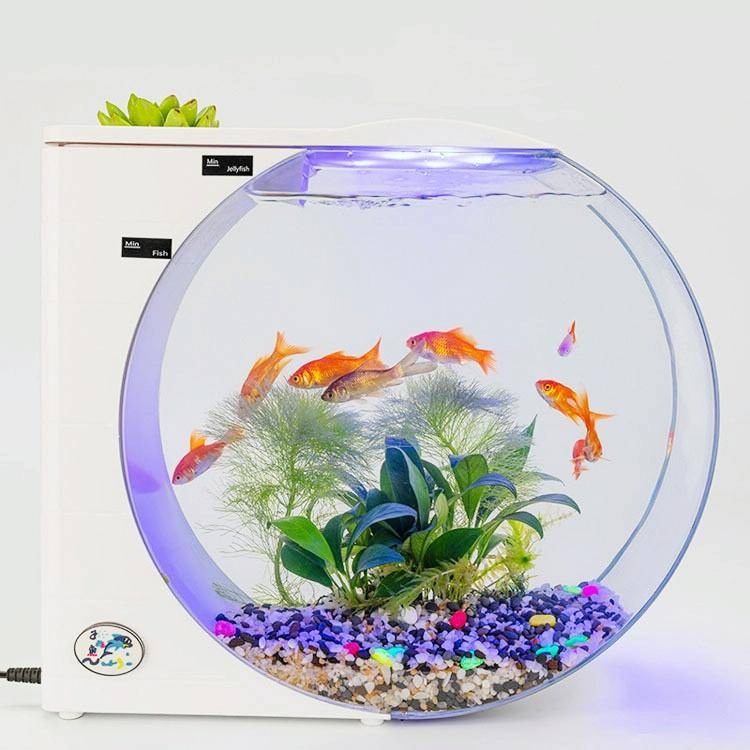 USB Jellyfish Fish Tank Multifunctional Electronic Mini Jellyfish Box(White)