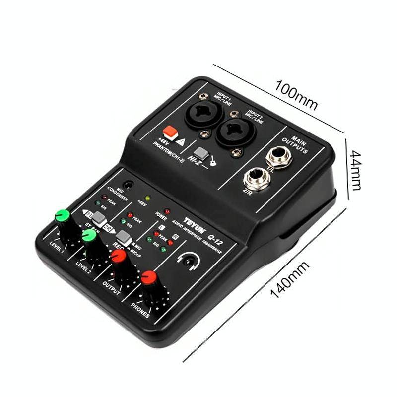 TEYUN Q-12 Computer Recording Sound Card USB Drive-free Recording Arranger(Black)