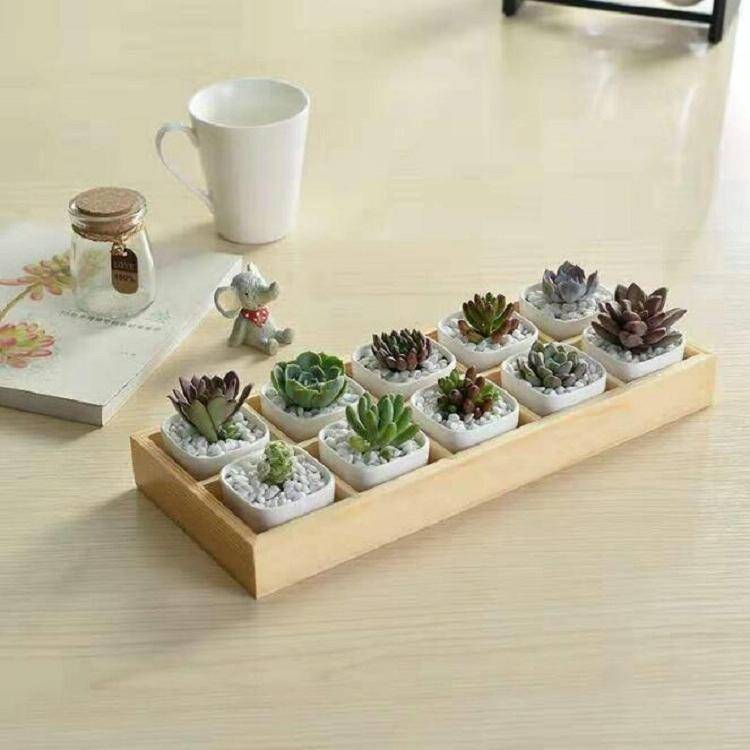 Succulent Wooden Storage Box Landscape Garden Decoration, Specification:10 Cells