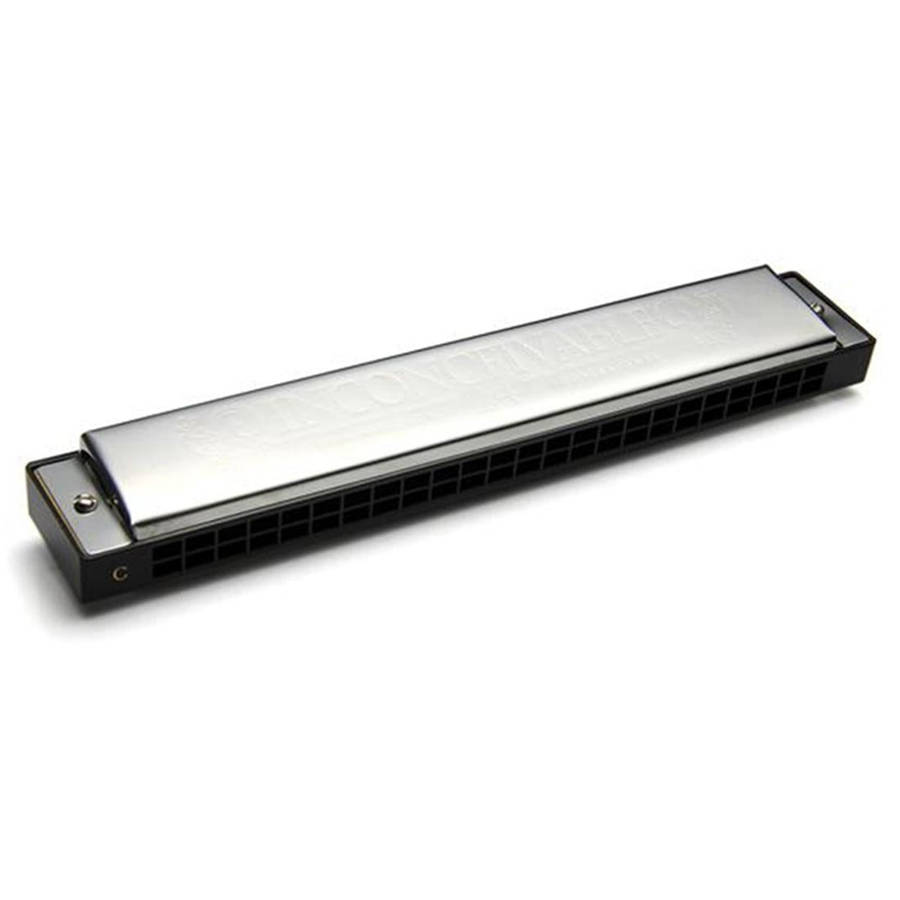 Swan 24-holes Polyphonic Harmonica Beginner Children Adult Students Playing Musical Instruments