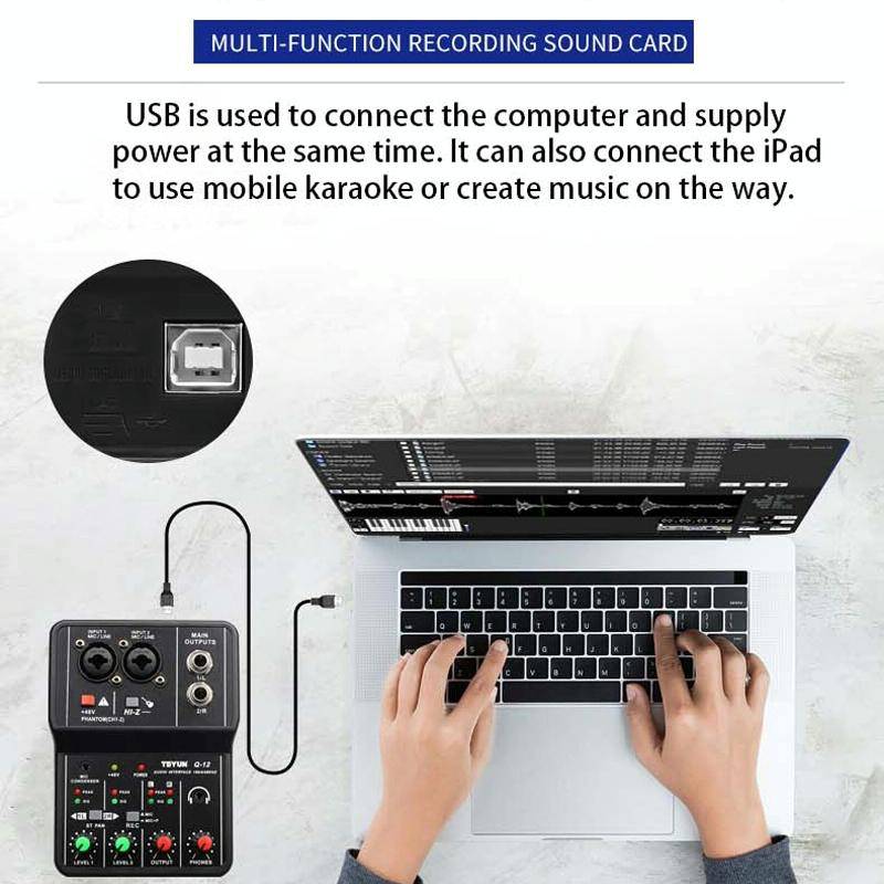 TEYUN Q-12 Computer Recording Sound Card USB Drive-free Recording Arranger(Black)