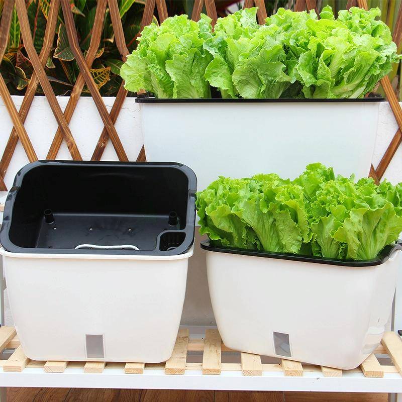 Family Balcony Rectangular Plastic Self-Absorbent Vegetable Growing Pot Flower Pot, Style: SC02 B...