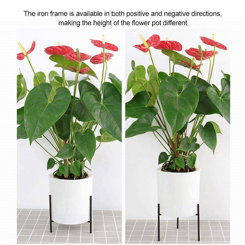 110mm PP Planter Flower Pot Automatic Water-absorbing Lazy Flower Pot, with Shelf