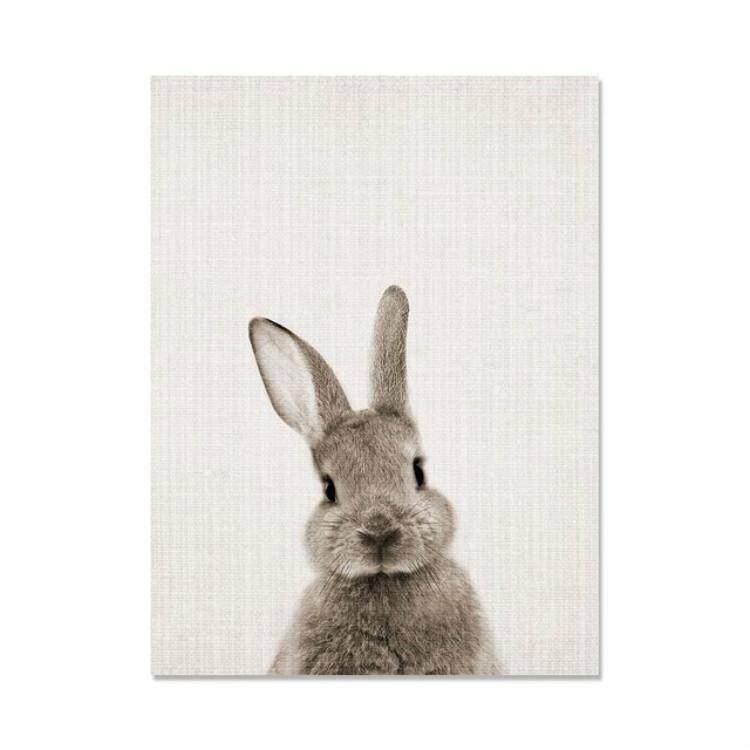 Rabbit Before and After the Computer Printing Decorative Painting Frameless Core, Size:13x18cm(Br...