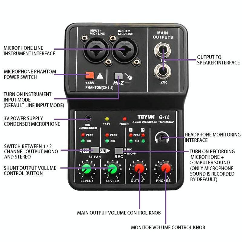 TEYUN Q-12 Computer Recording Sound Card USB Drive-free Recording Arranger(Black)