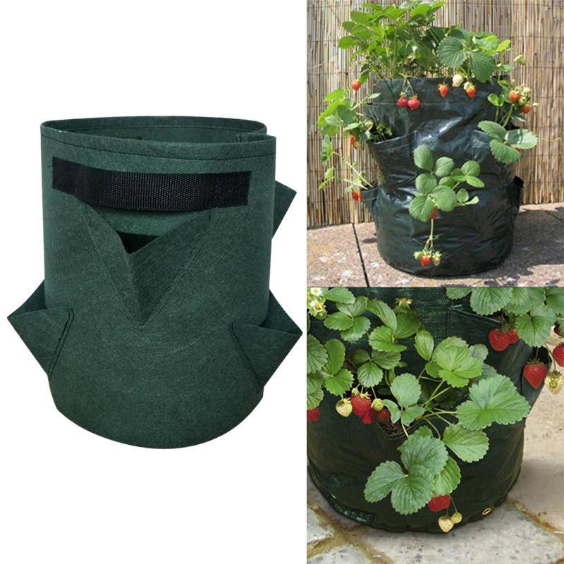 3 Pockets 18L / 5 Gallon Non-woven Felt Strawberry Planting Bag, Size: 23X28cm(Green)
