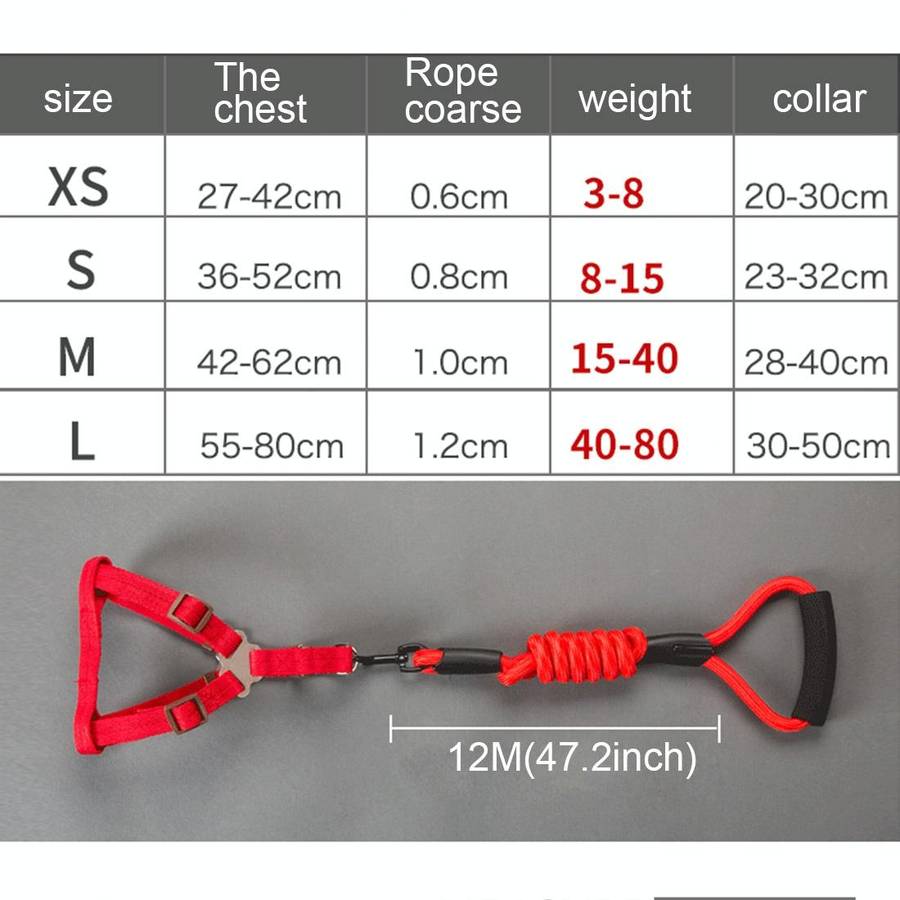 Pet Dog Collar + Harness + Leash Three Sets, M, Harness Chest Size: 43-67cm, Collar Neck Size: 33...