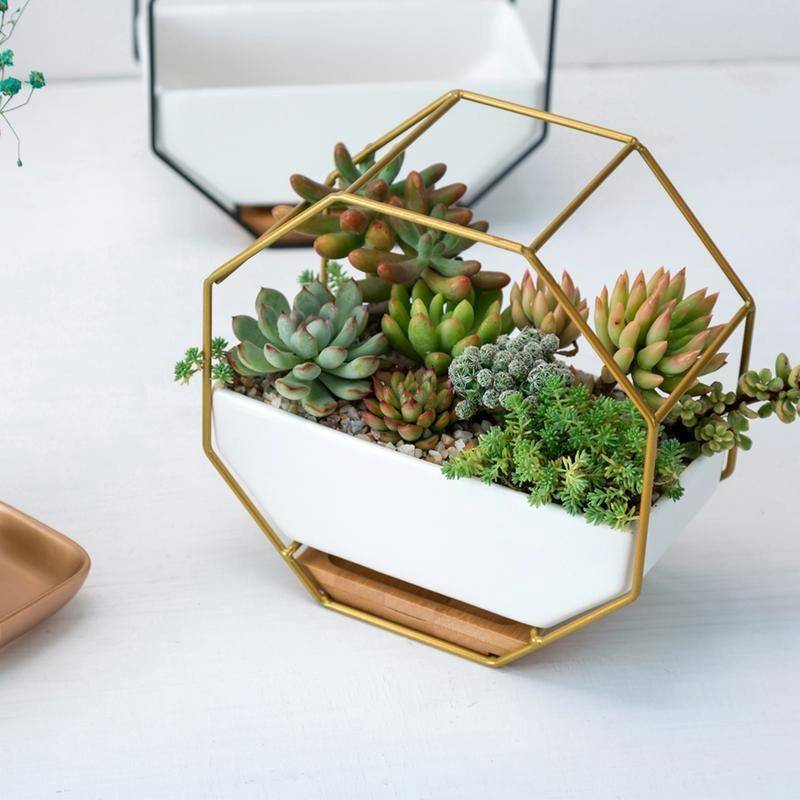 Simple Octagonal Geometric Wall Hanging Table Succulent Platter Bamboo Support Iron Frame Flower ...