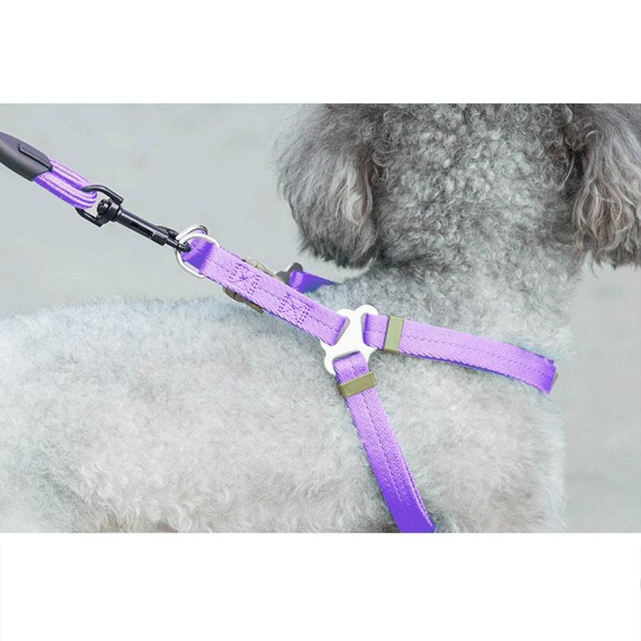 Pet Dog Collar + Harness + Leash Three Sets, M, Harness Chest Size: 43-67cm, Collar Neck Size: 33...