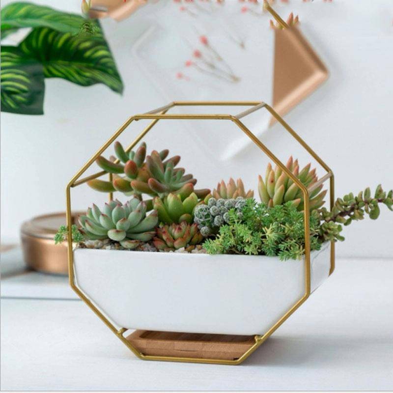 Simple Octagonal Geometric Wall Hanging Table Succulent Platter Bamboo Support Iron Frame Flower ...
