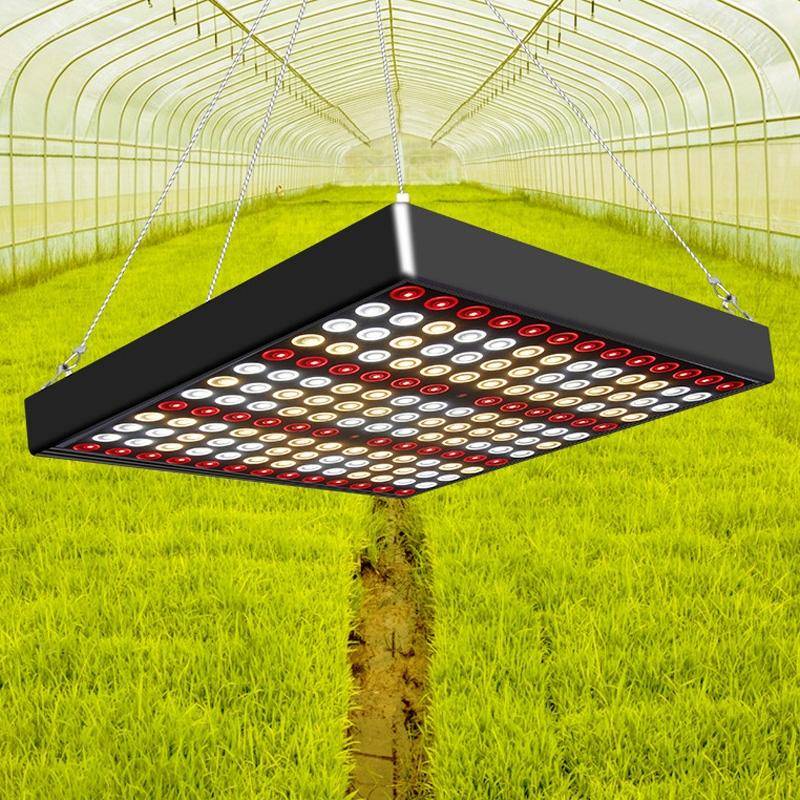 Large 169 LEDs Quantum Plant Growth Lighting Outdoor Full Spectrum Planting Lamp(UK Plug)