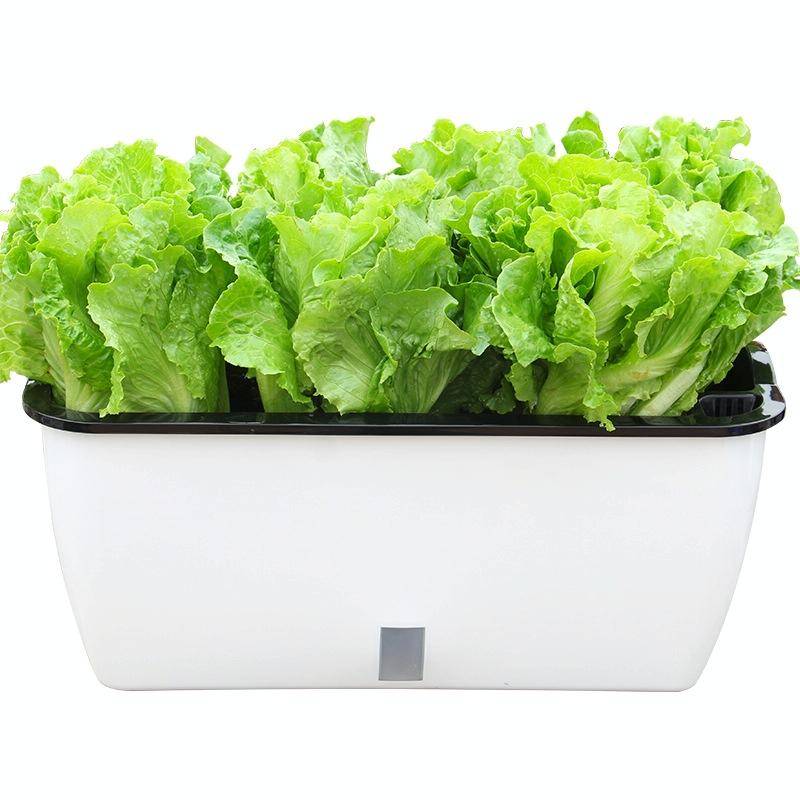 Family Balcony Rectangular Plastic Self-Absorbent Vegetable Growing Pot Flower Pot, Style: SC02 B...