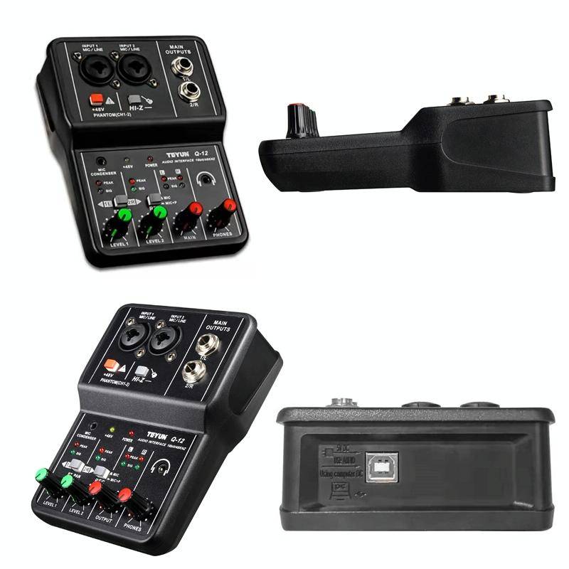 TEYUN Q-12 Computer Recording Sound Card USB Drive-free Recording Arranger(Black)