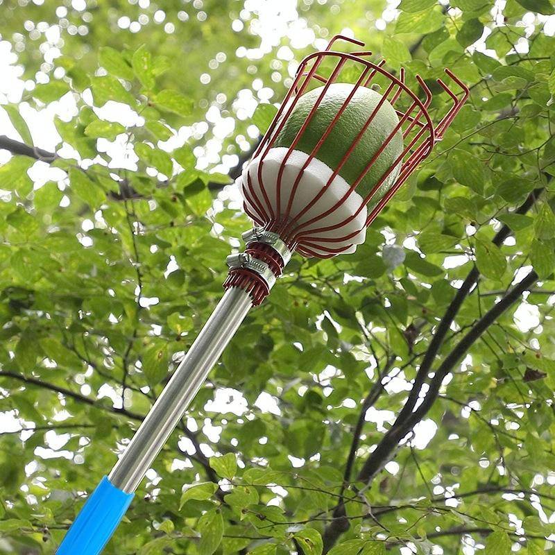 Stainless Steel Aerial Fruit Picker Fruit Picking Tools, Specification: 4 Sections 1.6m