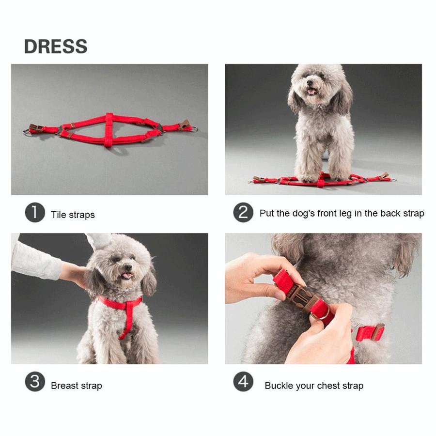 Pet Dog Collar + Harness + Leash Three Sets, M, Harness Chest Size: 43-67cm, Collar Neck Size: 33...