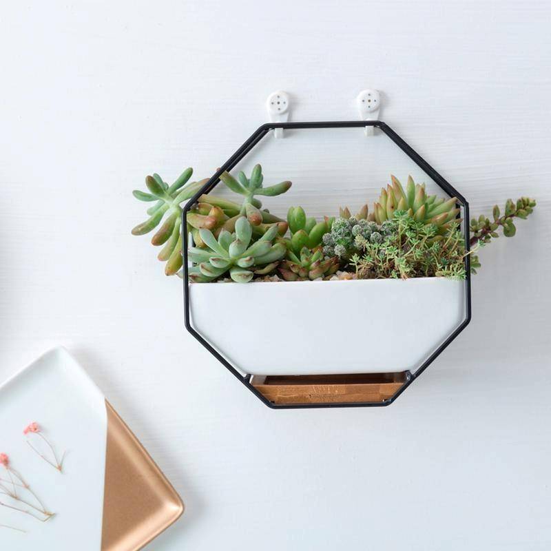 Simple Octagonal Geometric Wall Hanging Table Succulent Platter Bamboo Support Iron Frame Flower ...