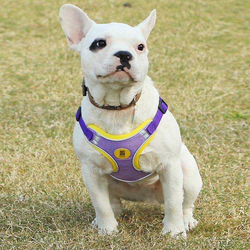 Pet Dog Harness Reflective Anti-break-off Vest-style Leash, Color: Suede Purple(S)