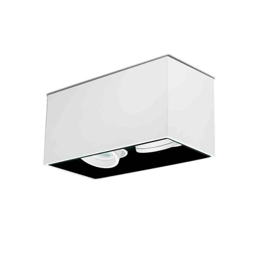 Spazio Lone Tilt 2 Downlight - White / Black