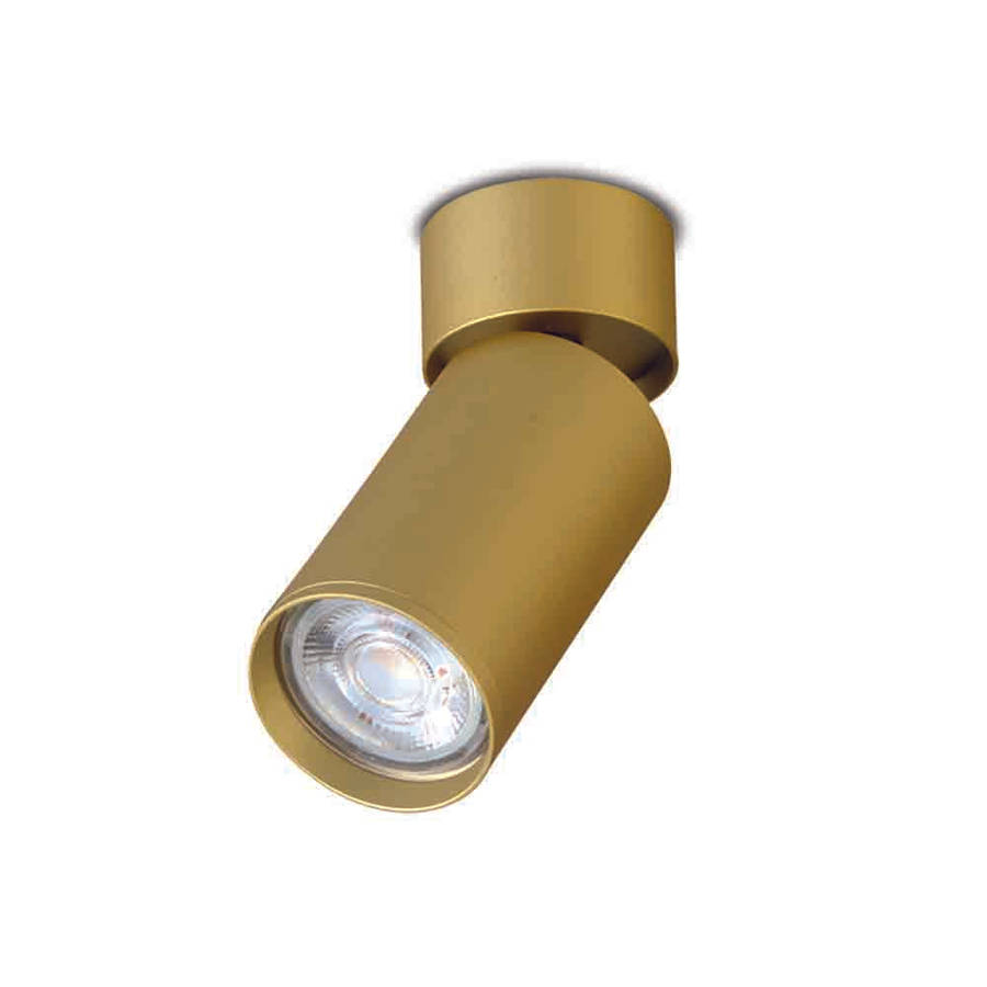 Spazio Kaapstad Adjustable Surface Downlight 157x52mm
