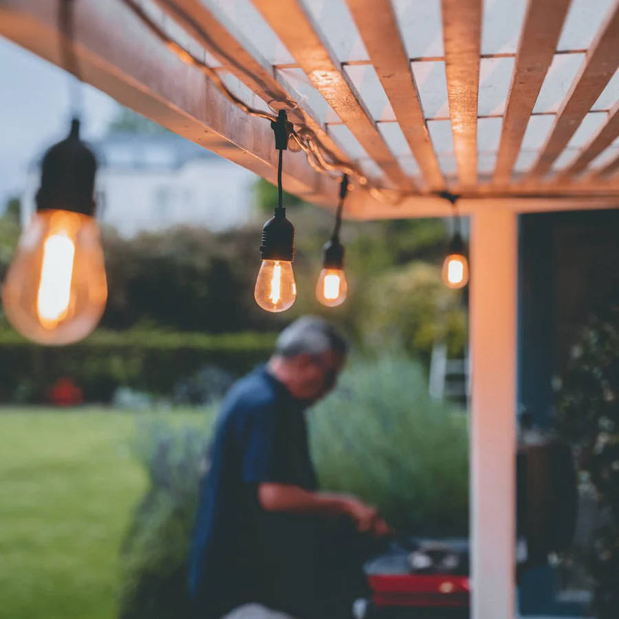 Litehouse Traditional LED Bulb Festoon String Lights 2700K