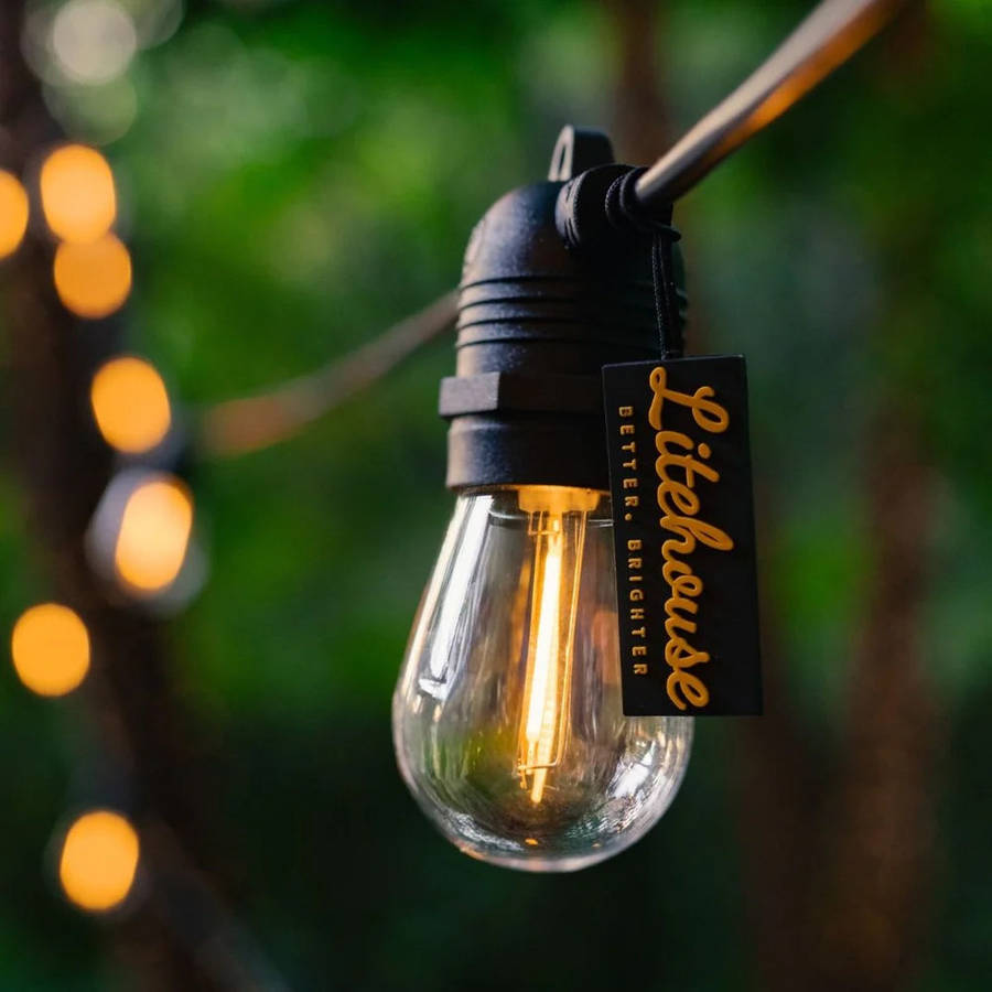 Litehouse Solar Traditional LED Bulb Festoon String Lights 2700K