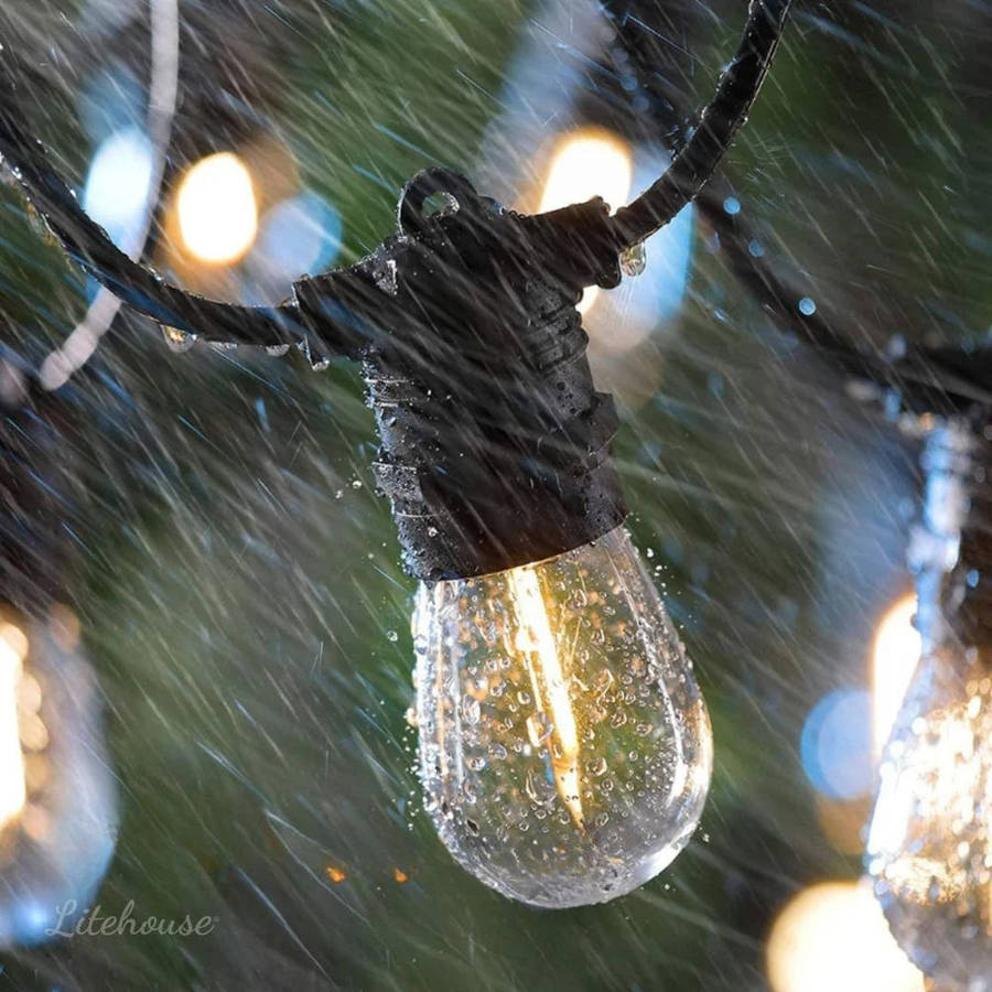 Litehouse Solar Traditional LED Bulb Festoon String Lights 2700K
