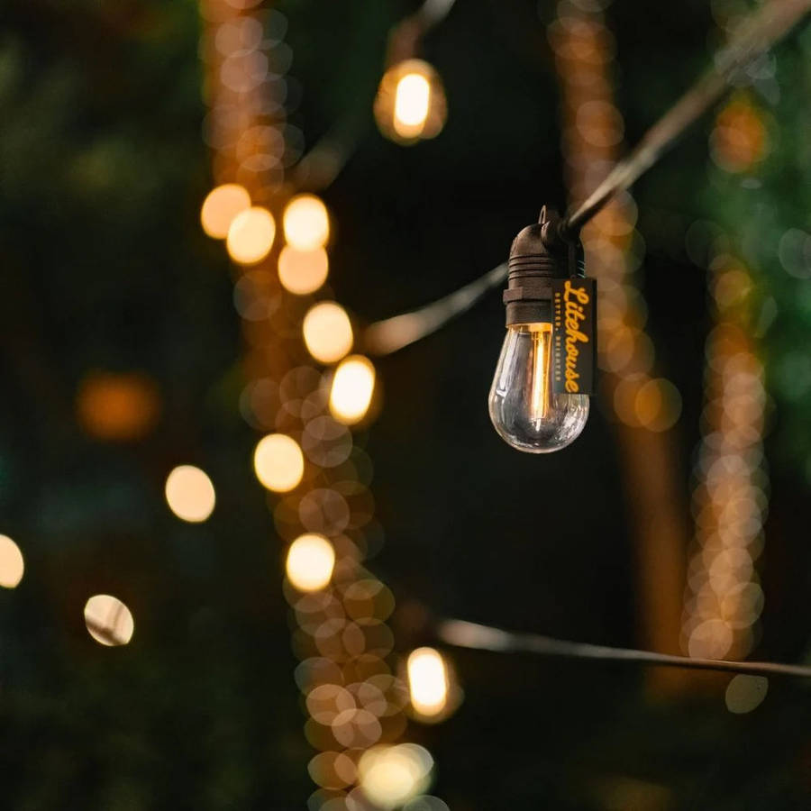 Litehouse Solar Traditional LED Bulb Festoon String Lights 2700K