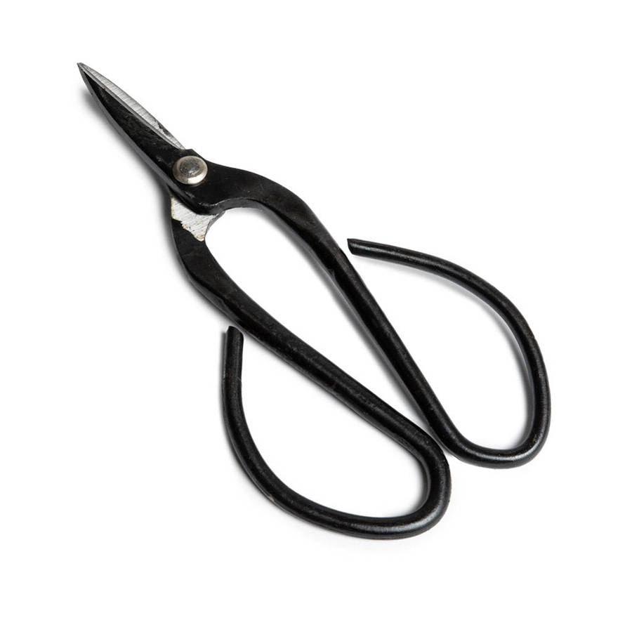 19cm Bonsai General Scissors