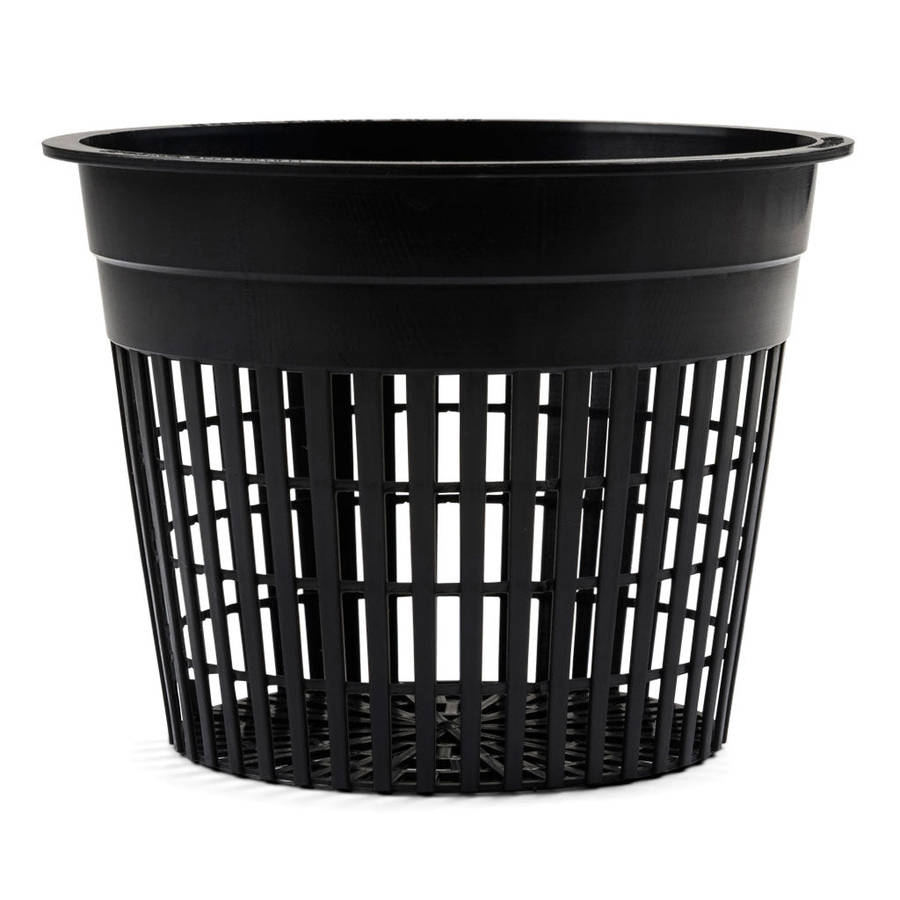 Plastic Growing Container, Colander Type, 12.5cm - 1Pc. Single.