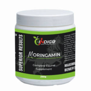 Indigo Equine Moringamin  Daily Nutritional & Detox Support for Horses