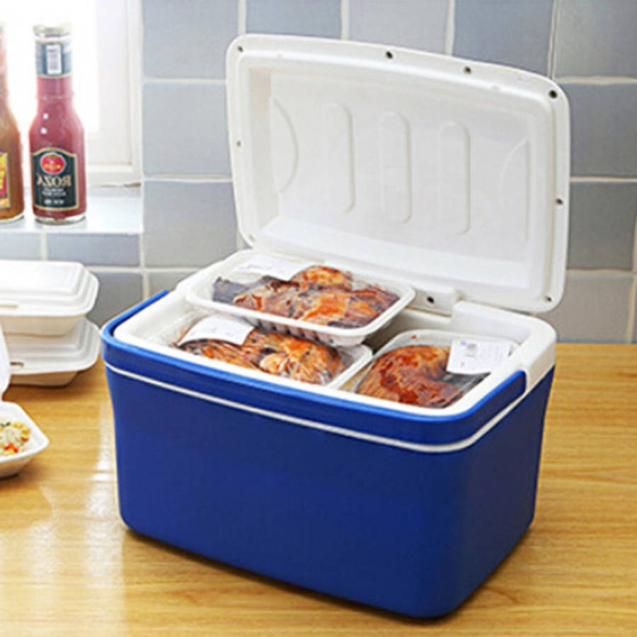 Car Portable Mini 6L EPS Incubator Box, 6L
