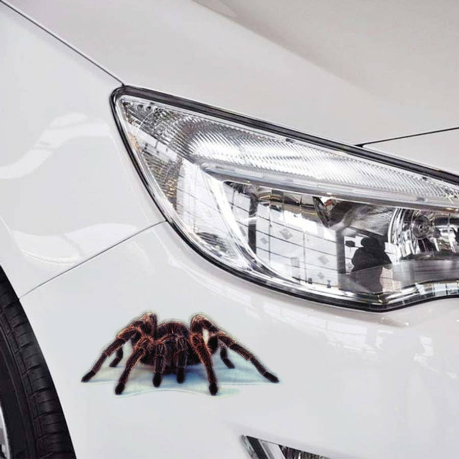 A21 Animal Pattern Car Body Random Stickers, A21