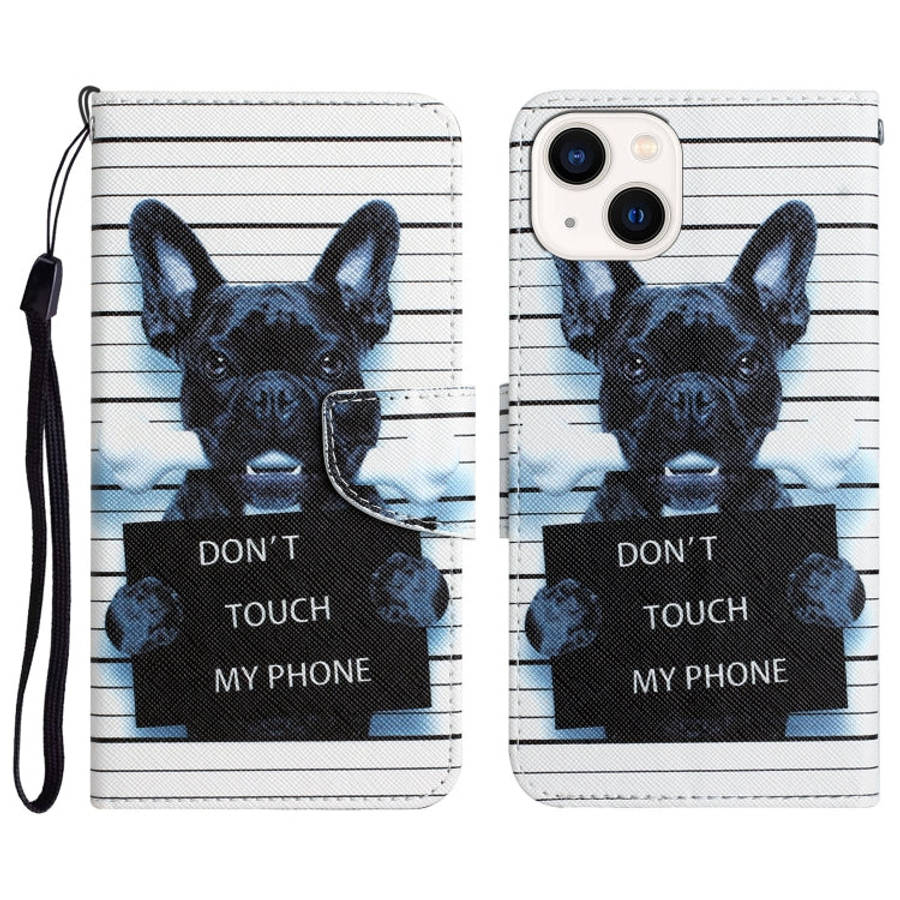 Colored Drawing Leather Phone Case, For iPhone 14, For iPhone 14 Plus, For iPhone 14 Pro