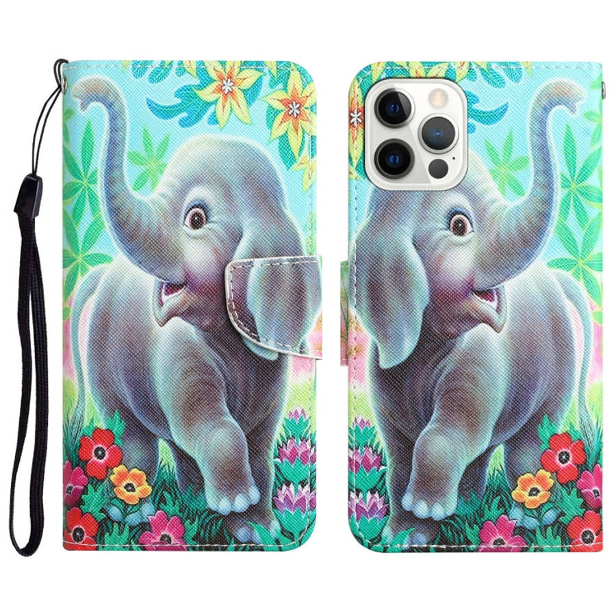 Colored Drawing Leather Phone Case, For iPhone 13 Pro, For iPhone 13 Pro Max, For iPhone 12 mini