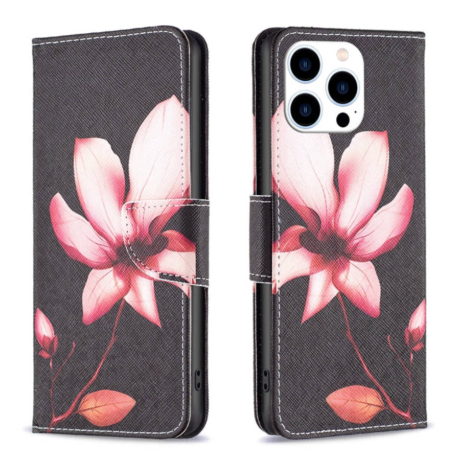 Colored Drawing Pattern Flip Leather Phone Case, For iPhone 15 Pro Max, For iPhone 15 Pro, For iP...