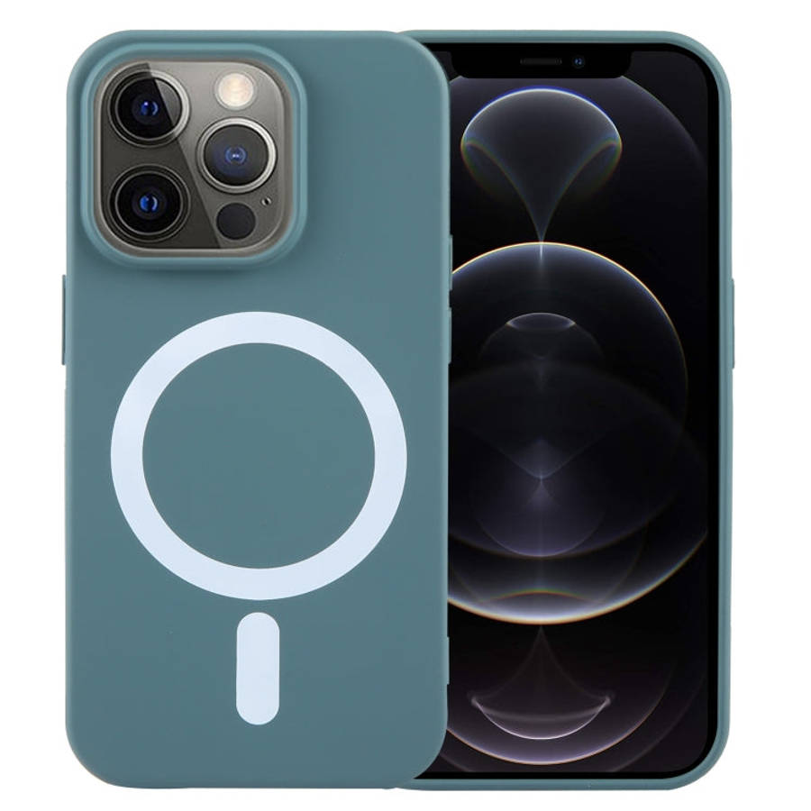 MagSafe Liquid Silicone Phone Case, For iPhone 12 Pro, For iPhone 11 Pro Max, For iPhone 11, For ...