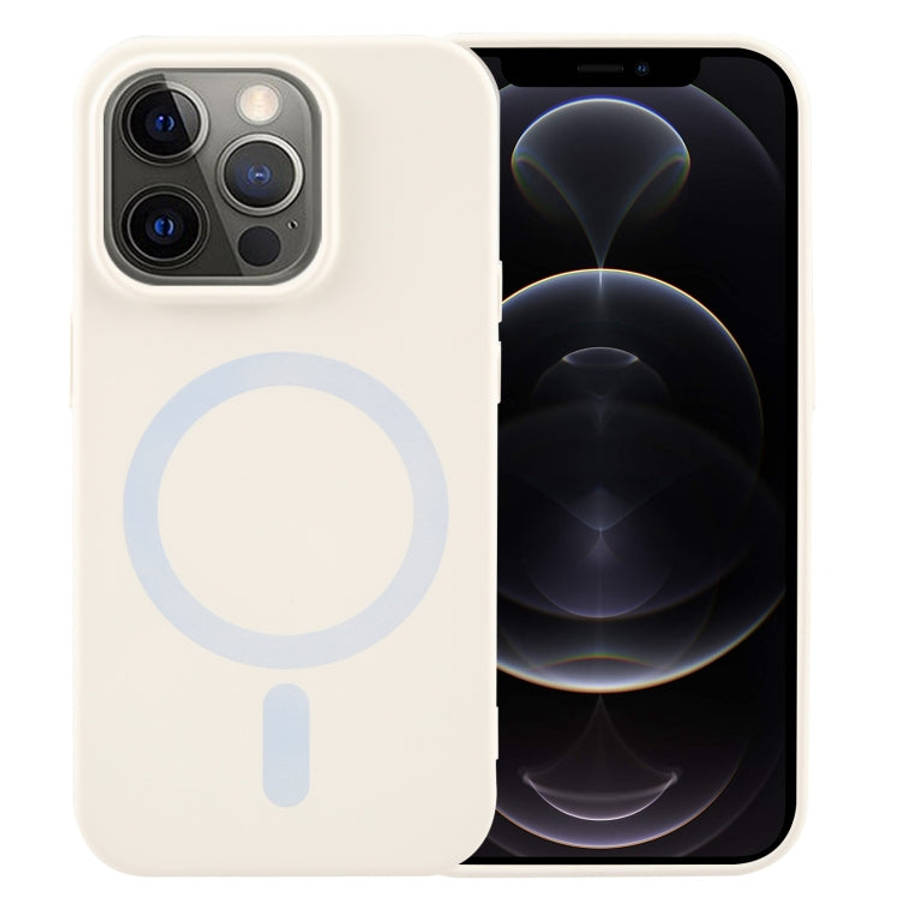 MagSafe Liquid Silicone Phone Case, For iPhone 12 Pro, For iPhone 11 Pro Max, For iPhone 11, For ...