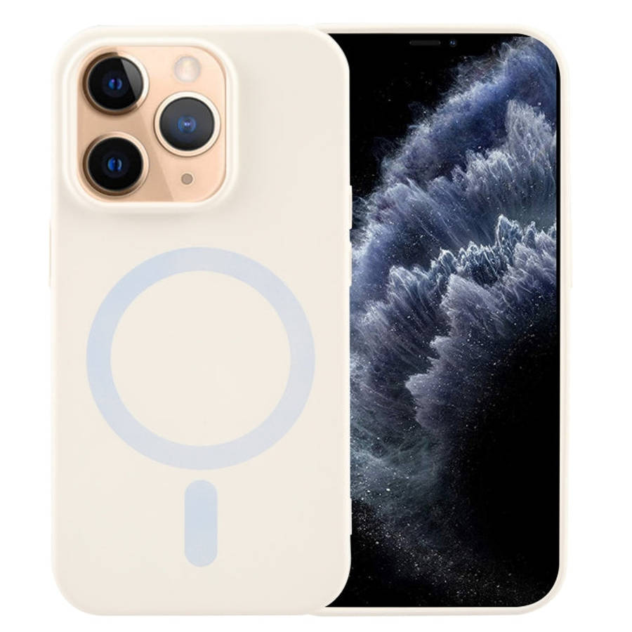 MagSafe Liquid Silicone Phone Case, For iPhone 12 Pro, For iPhone 11 Pro Max, For iPhone 11, For ...