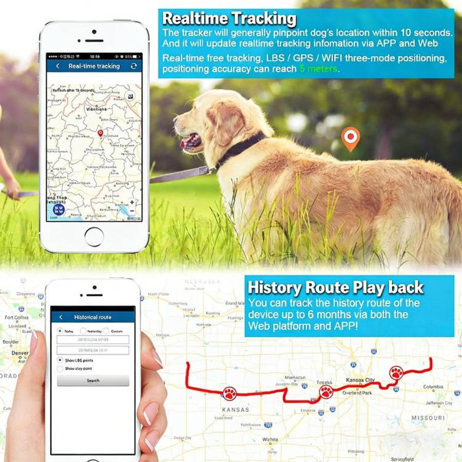 TK919 4G Dog Collar IP67 Waterproof GPS Locator